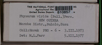Image Associated With the Occurence